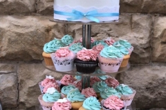 cupcakes20200906_0007
