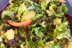 salate20200906_0098